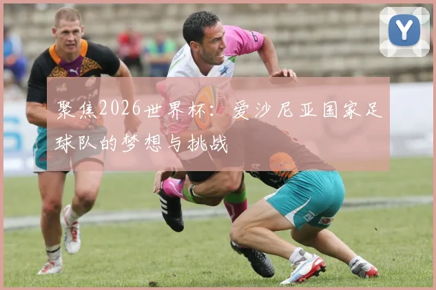 聚焦2026世界杯：爱沙尼亚国家足球队的梦想与挑战