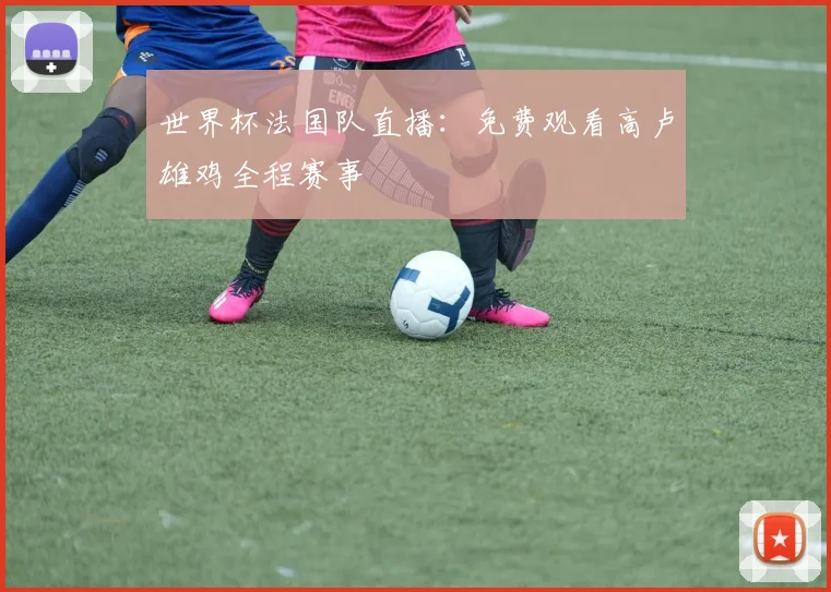 世界杯法国队直播：免费观看高卢雄鸡全程赛事